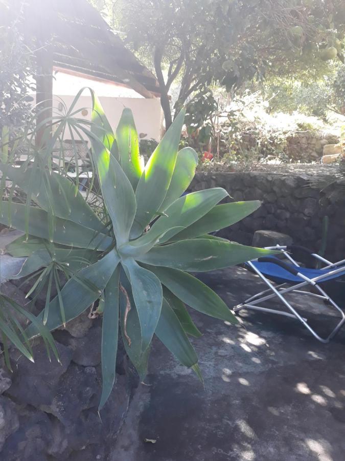 Stromboliparadise Piscita Kültér fotó